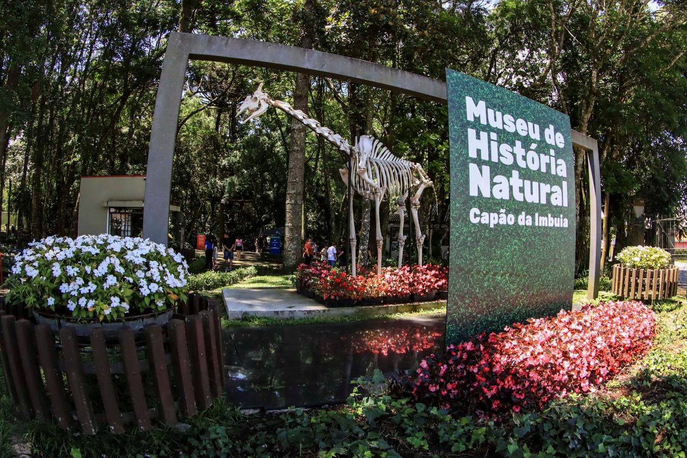 Crianças poderão ser biólogas por um dia nas férias no Museu de História Natural
