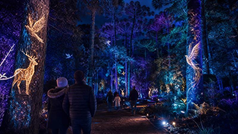 Passeio Público estreia circuito de luzes e experiências do Inverno Encantado neste domingo