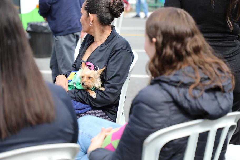 Programa de serviços veterinários ainda tem vagas até sábado (18)